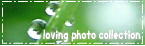 loving photo collection